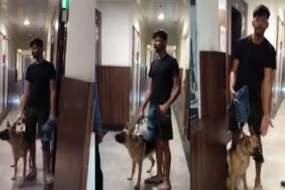 The viral video shows the man indulging himself into an unnecessary argument with the security guard and another woman over the issue of the poor child's fear from the canine entering into the escalator.