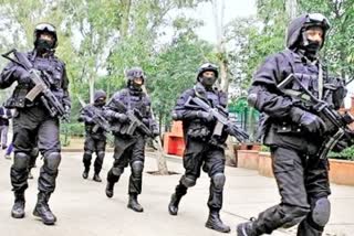 NSG commando mock drill