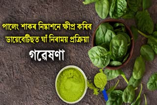 Consumption of spinach extract can speed up wound healing process in diabetes: Research