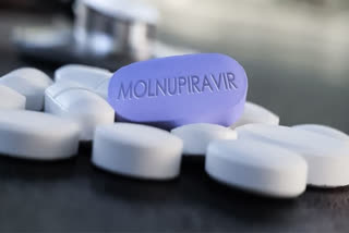A team of scientists has found a link between molnupiravir -- an antiviral drug for Covid-19 infections -- and a pattern of mutations in the SARS-CoV-2 virus.