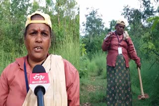 national-award-for-a-woman-who-planted-25-thousand-plants