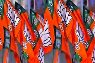 MADHYA PRADESH ASSEMBLY ELECTION BJP GET TICKETS TO MPS KNOW ALL STRATEGY