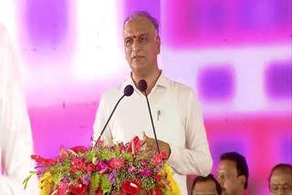 Minister Harish Rao Review On Health