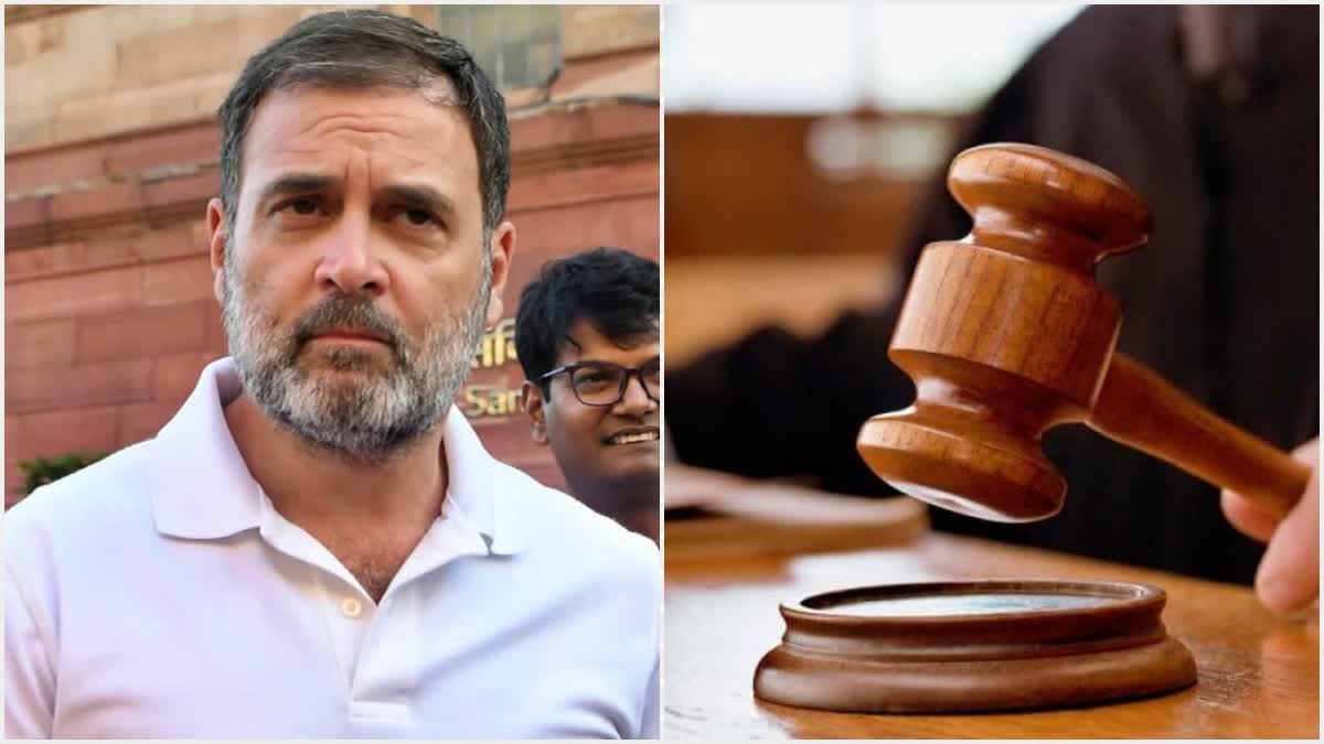 Rahul Gandhi is british or not, high court seeks reply from central government