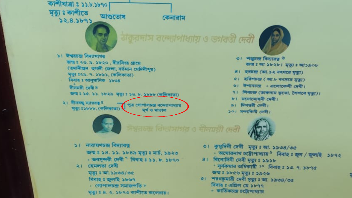 Error in Vidyasagar Family Description