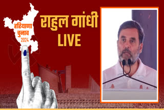 Rahul Gandhi Rally Live from Barwala of Hisar Haryana Assembly Election 2024