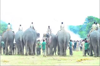 Gajapade-afraid-during-dasara-explosive-training