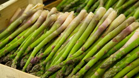 Asparagus News