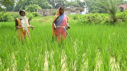 farmers-loan-will-be-repaid-under-agricultural-loan-waiver-scheme-in-ranchi