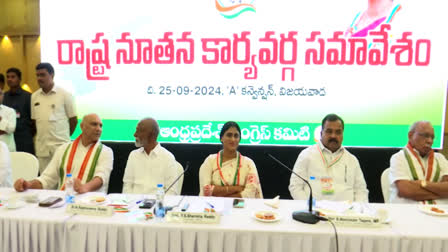 APCC State Executive Meeting Conducted in Vijayawada