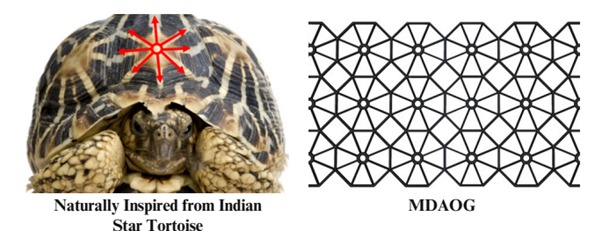 Geogrid inspired by the Indian Star Tortoise