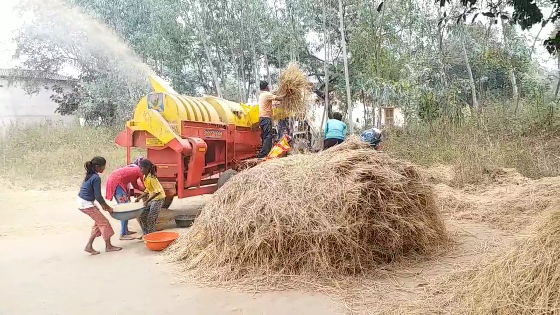 rice msp 2024 Madhya Pradesh