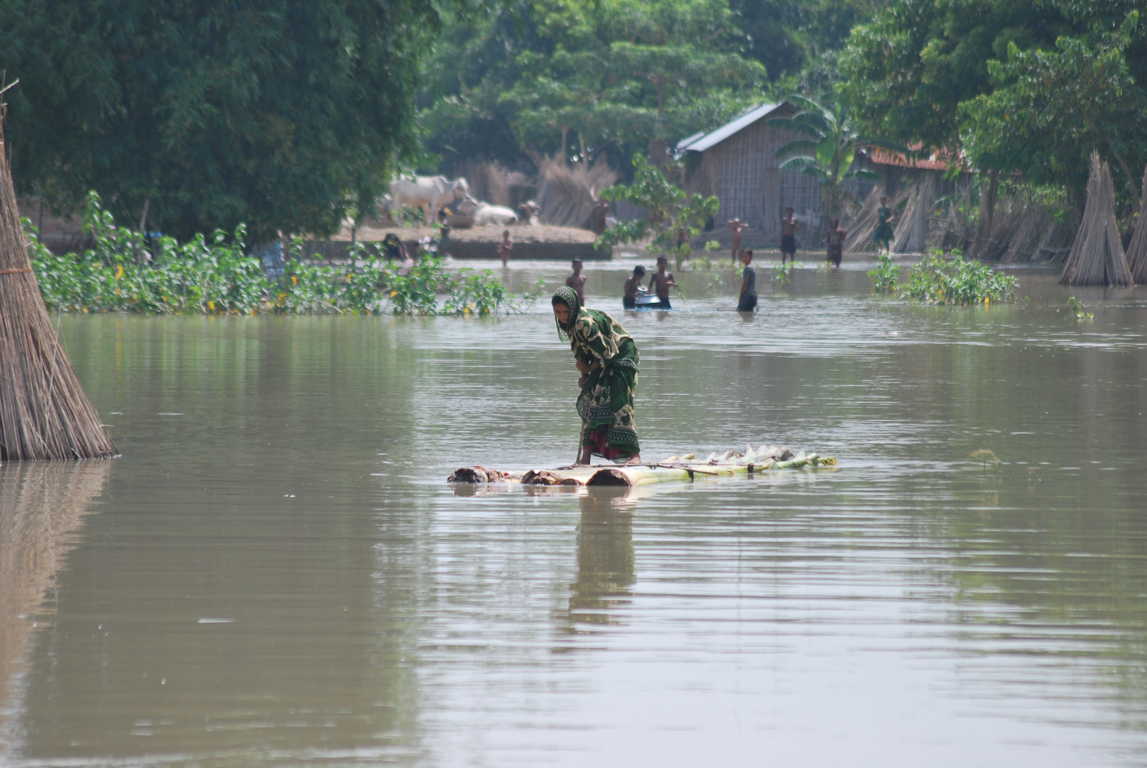 Malda Flood Situation