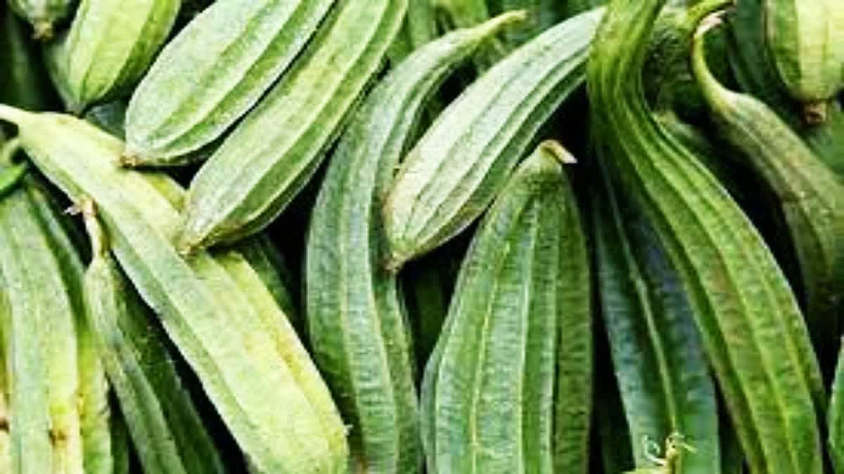 Beerakaya Health Benefits In Telugu