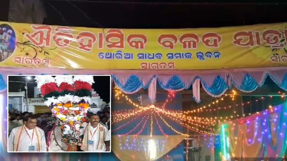 ଭୁବନର ପାରମ୍ପରିକ ବଳଦ ଯାତ୍ରା; ମଣିଷ ଆଉ ପଶୁ ମଧ୍ୟରେ ସମ୍ପର୍କର ସେତୁ