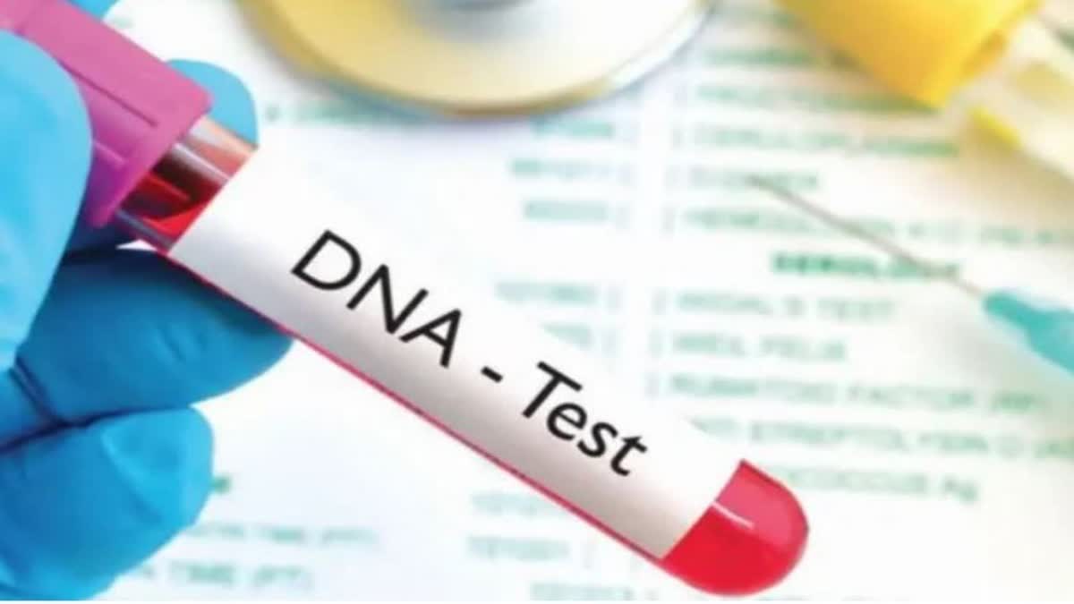police will conduct DNA test of swiss woman