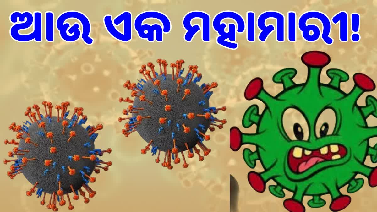 China New Virus Found