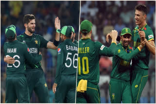 Pakistan which has lost three matches on trot in the ICC Men's Cricket World Cup 2023 will be taking on juggernaut South Africa, in Chennai's Chepauk Stadium. This will be India's eastern neighbour's last game in the marquee tournament's current edition and is expected to get the crowd's support as it amassed in the previous game against Afghanistan. A loss against the Proteas will have a bearing on Pakistan's shot at Semifinal berth, while South Africa will ride on its winning streak to remain within the top four of the points table.