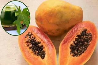 Juice of Papaya leaf