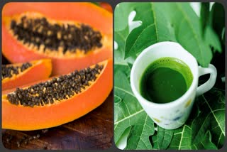 Papaya leaves Benefits