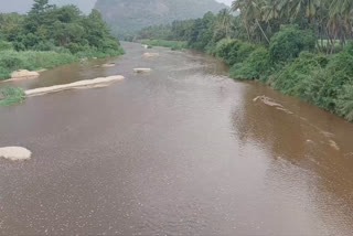 the-overflowing-water-in-the-vaigai-river