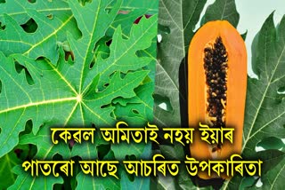 Drink papaya leaves juice daily, sugar will remain under control and you will also get relief from constipation