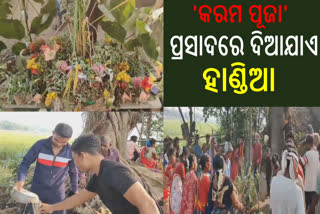 ବାଲେଶ୍ବରରେ ଧୁମଧାମରେ କରମ ପୂଜା ପାଳିତ, ପାରମ୍ପରିକ ବାଦ୍ୟର ତାଳରେ ଝୁମିଲେ ଆଦିବାସୀଲୋକେ