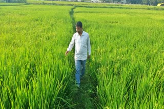 Jharkhand Crop Relief Scheme