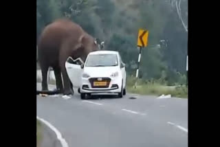 Video shows elephant damaging tourist car on Kothagiri-Mettupalayam Highway