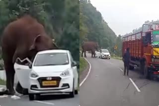 Wild Elephant Damaging Tourist Car  Elephant Damaging Car Kothagiri Mettupalayam  Kothagiri Mettupalayam Highway Wild Elephant  Wild Elephant attack  Wild Elephant attack neelagiri  കാട്ടാനയുടെ ആക്രമണം  കോത്തഗിരി മേട്ടുപ്പാളയത്ത് കാട്ടാനയുടെ ആക്രമണം  കാർ തകർത്ത്‌ കാട്ടാനയുടെ ആക്രമണം  കാട്ടാനയുടെ ആക്രമണം ദൃശ്യങ്ങൾ വൈറൽ  കോത്തഗിരി മേട്ടുപ്പാളയം ദേശീയ പാതയിൽ കാട്ടാന