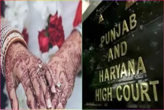SAME SEX MARRIAGE IN PUNJAB TWO GIRLS KNOCKED AT THE DOOR OF PUNJAB HARYANA HIGH COURT DEMANDING PROTECTION