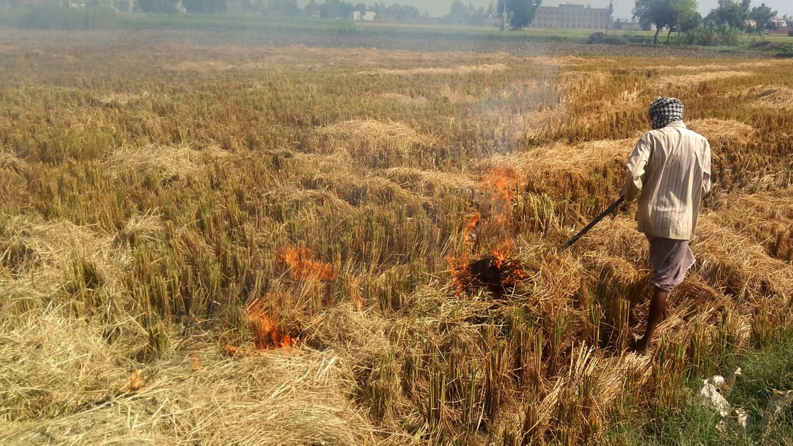 पराली जलाने पर कृषि विभाग लगा रहा है अंकुश