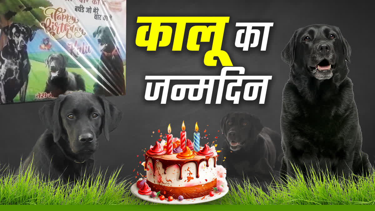 BURHANPUR DOG BIRTHDAY CELEBRATION