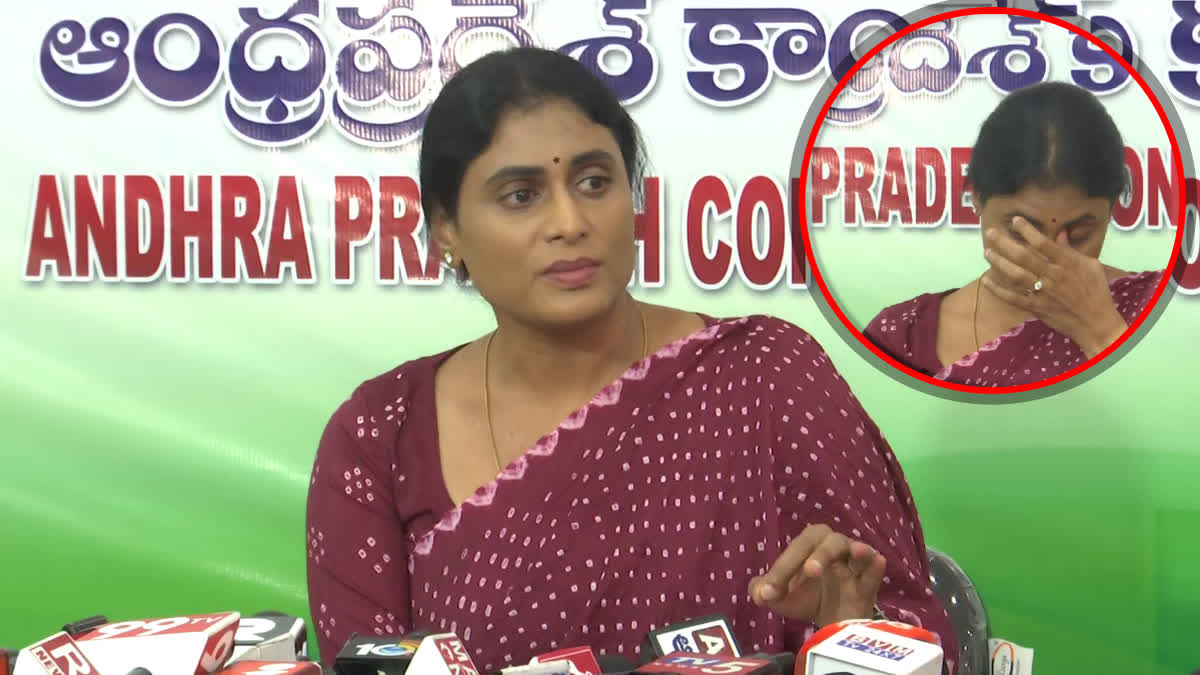 YS Sharmila Comments on YS Jagan