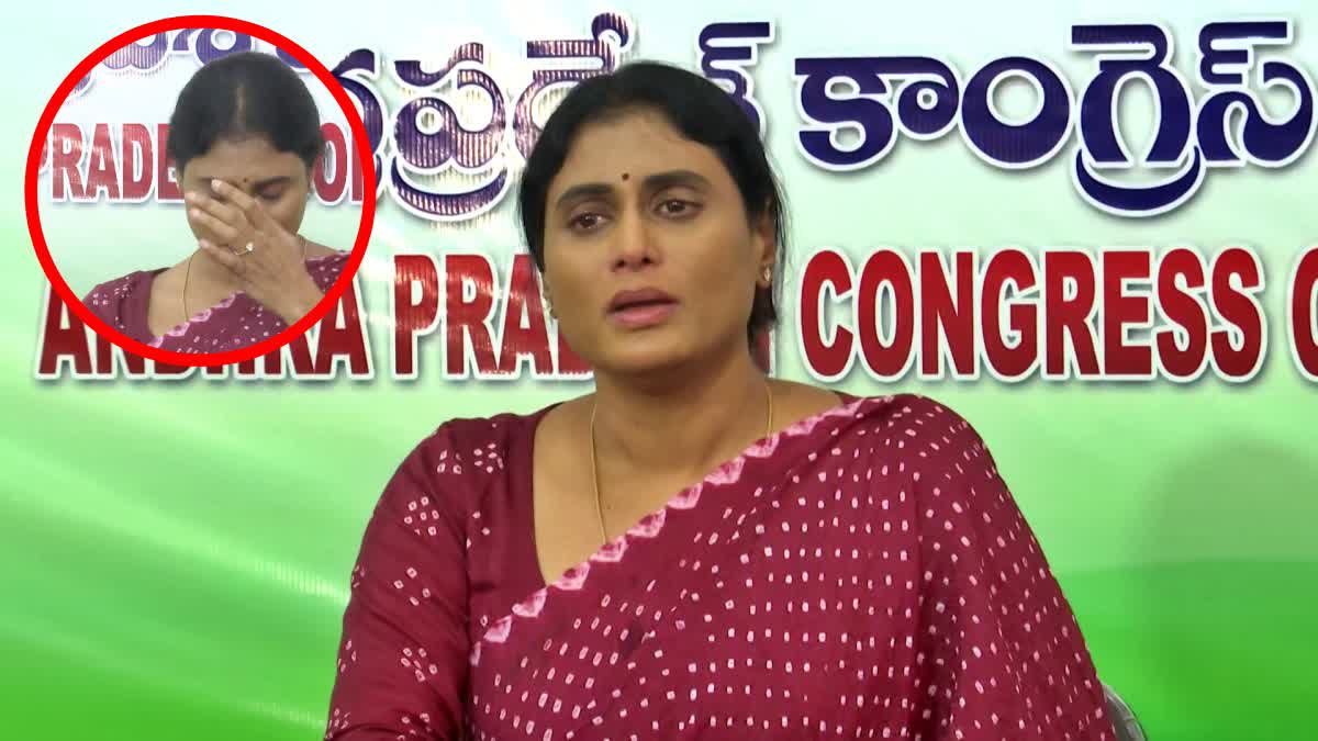 YS Sharmila Responds On Subba Reddy Comments