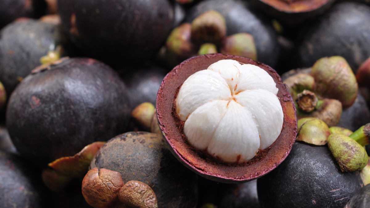 know health benefits of Mangosteen