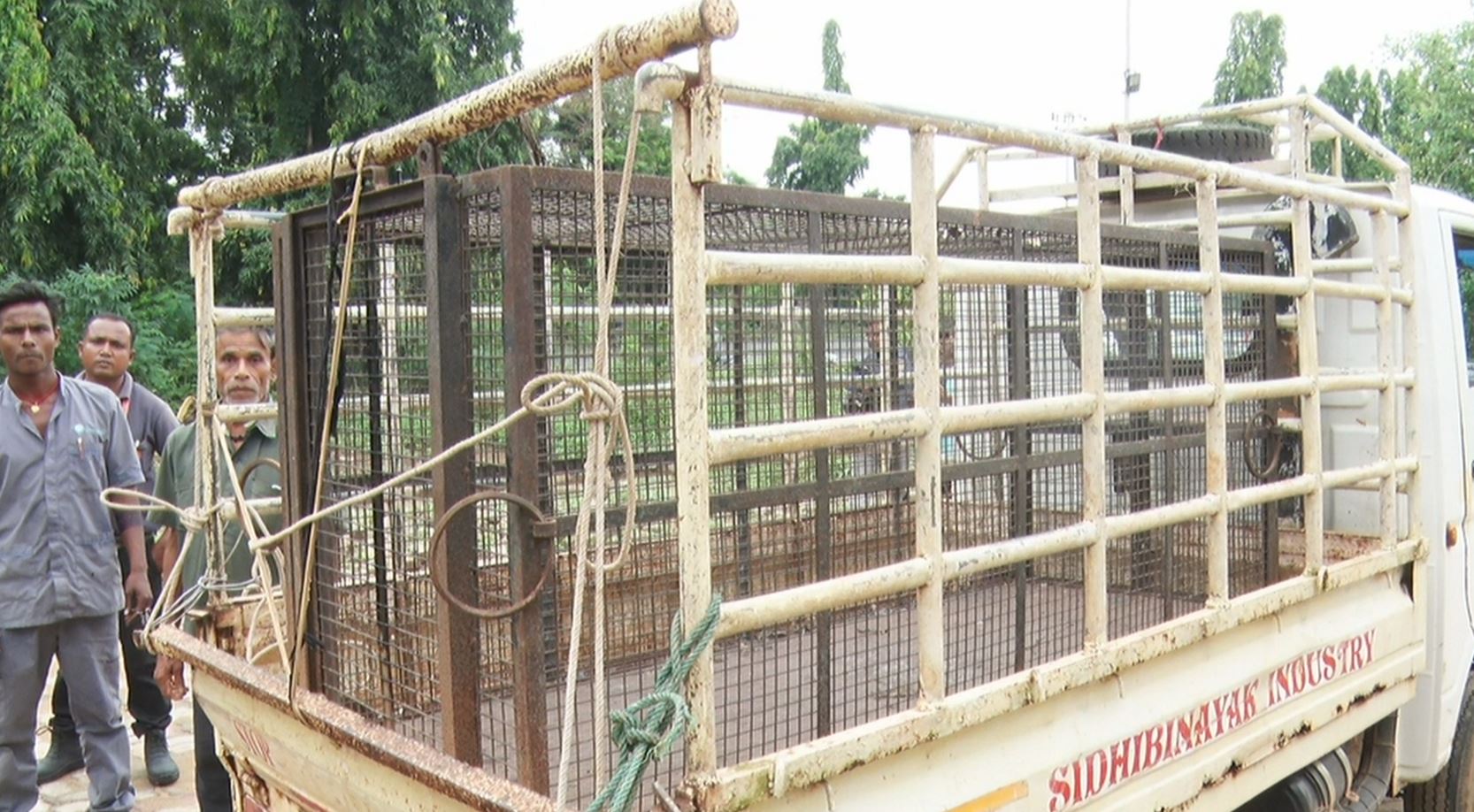 LEOPARD SCARE IN BHUBANESWAR