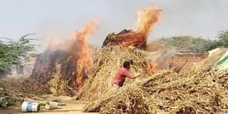 Morena millet crop burnt to ashes