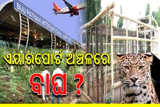 LEOPARD SCARE IN BHUBANESWAR