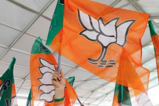 BJP released second list of 22 candidates