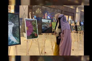 Kashmir's Hidden Talent Unveiled On Canvas