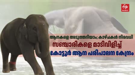 കോട്ടൂര്‍ ആന പരിപാലന കേന്ദ്രം  ELEPHANT REHABILITATION CENTER  KOTTOOR ELEPHANT REHABILITATION  LATEST NEWS IN MALAYALAM