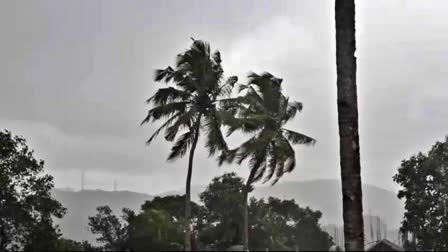 WEATHER FORECASTING KERALA  YELLOW ALERT DISTRICTS  KERALA WEATHER UPDATES  KERALA CLIMATE TODAY