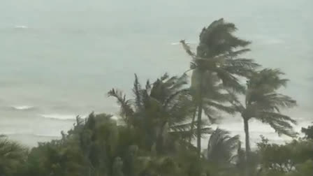 Cyclone Dana Aftermath Causes Significant Damage In Odisha 2 Deaths In West Bengal