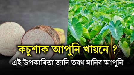 Anticancer and Immunomodulatory Benefits of Taro assamese kosu xaak