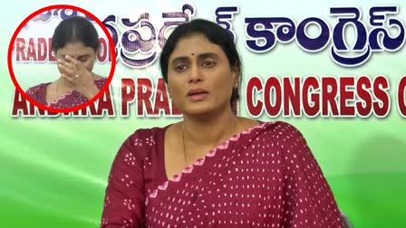 YS Sharmila Responds On Subba Reddy Comments