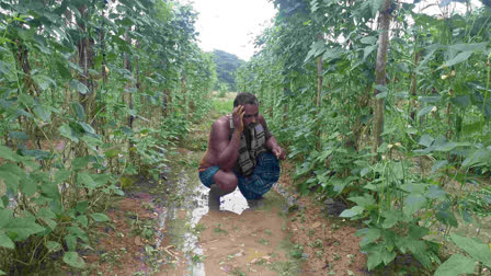 Cyclone Dana Impact in Cuttack