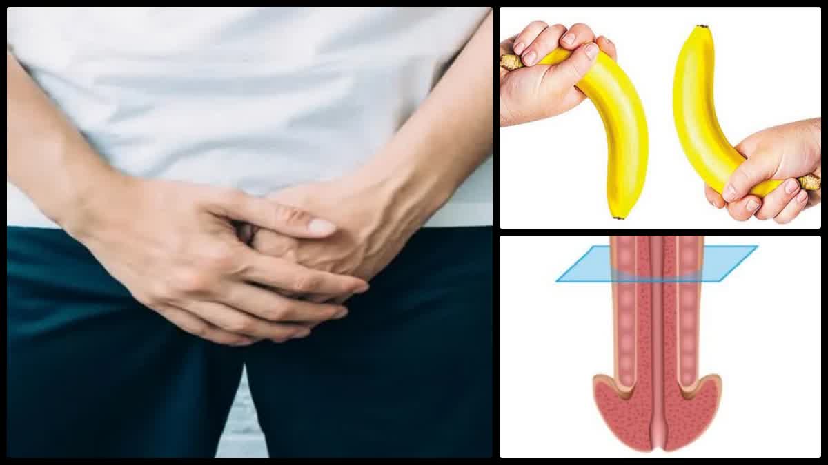 What To Eat For Making Penis Strong