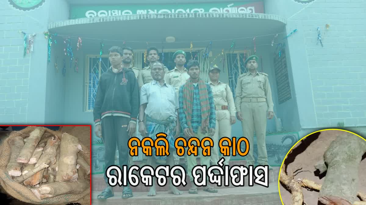 ଠକେଇର ନୂଆ ତରିକା , ବାତରା ଗଛର ଚେରକୁ ଚନ୍ଦନ କାଠ କହି ବିକ୍ରି ୩ ଗିରଫ