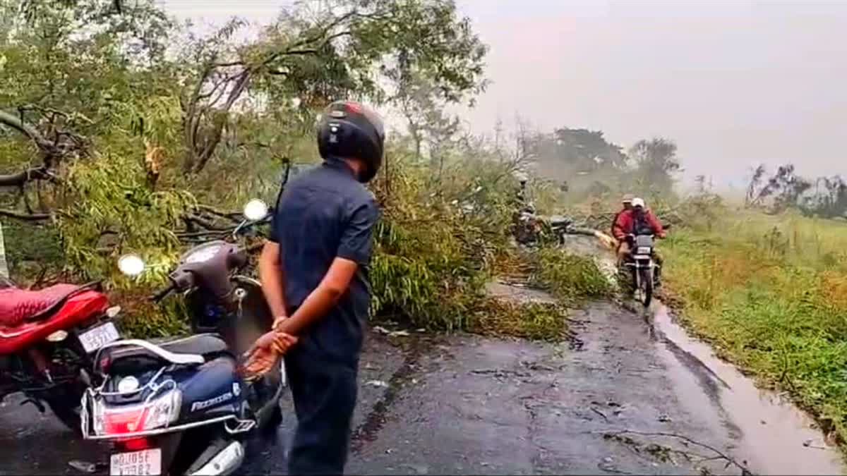 માવઠાનો માર